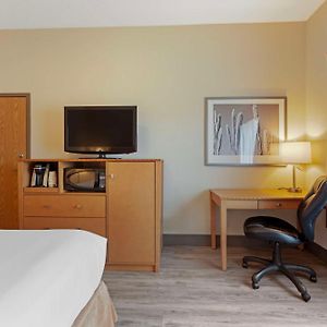 Suite mit Queensize-Bett